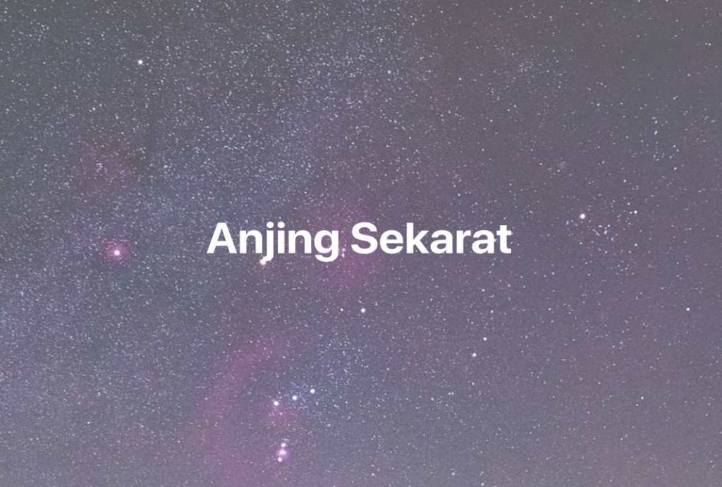 Gambar Mimpi Anjing Sekarat