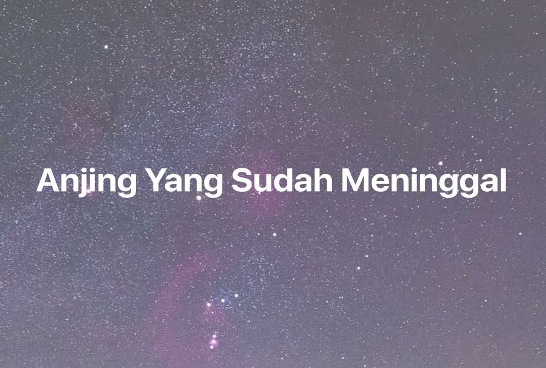 Gambar Mimpi Anjing Yang Sudah Meninggal