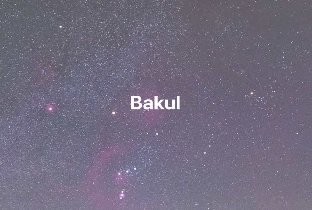 Gambar Mimpi Bakul