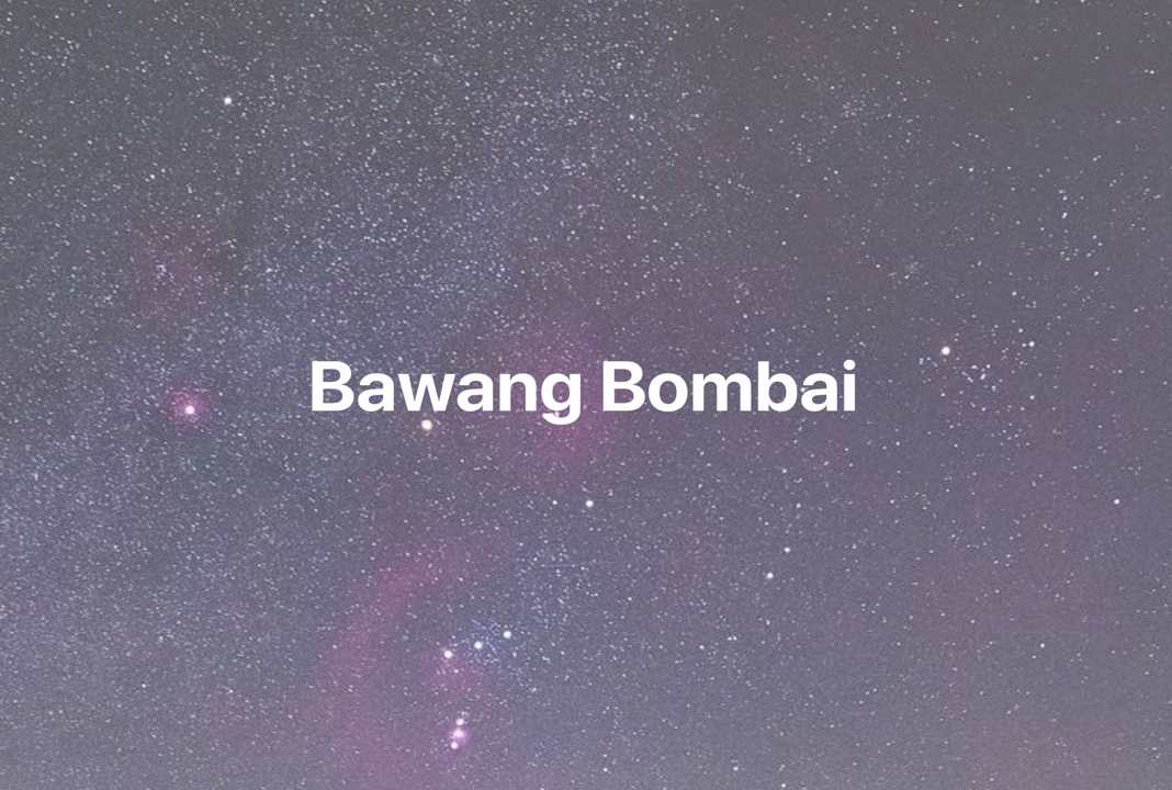 Gambar Mimpi Bawang Bombai