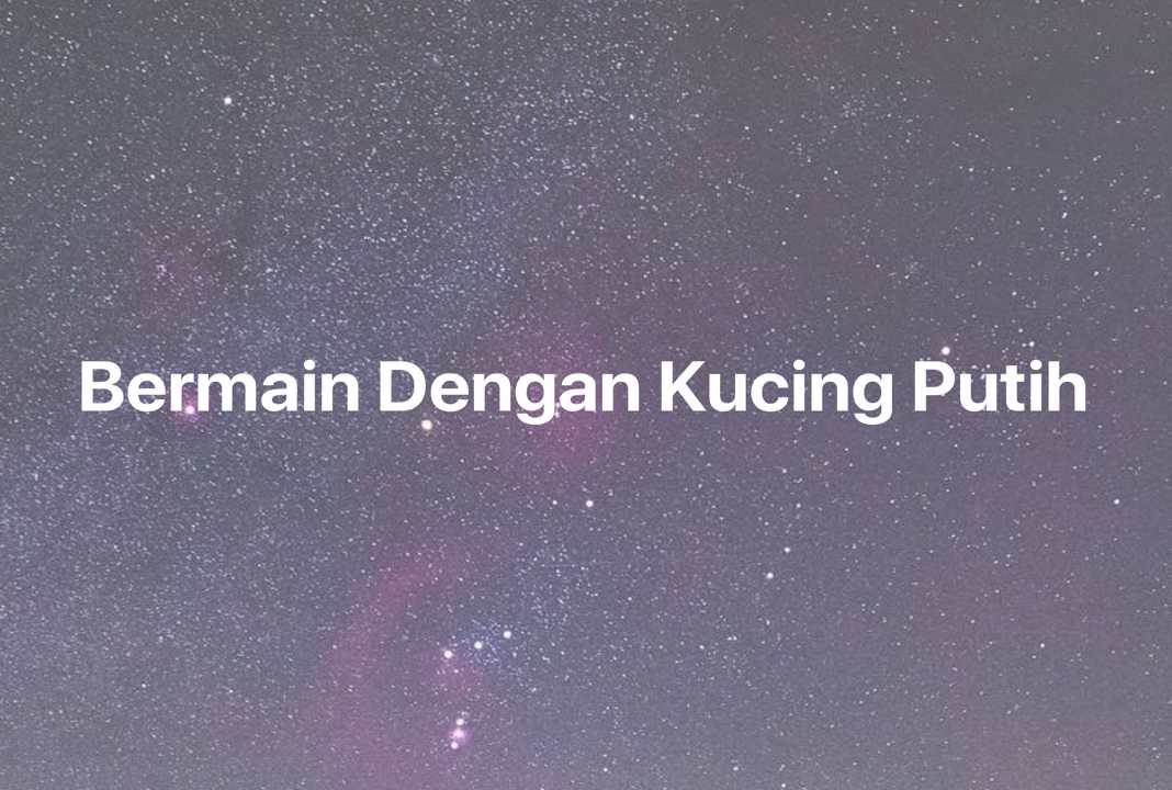 Gambar Mimpi Bermain Dengan Kucing Putih