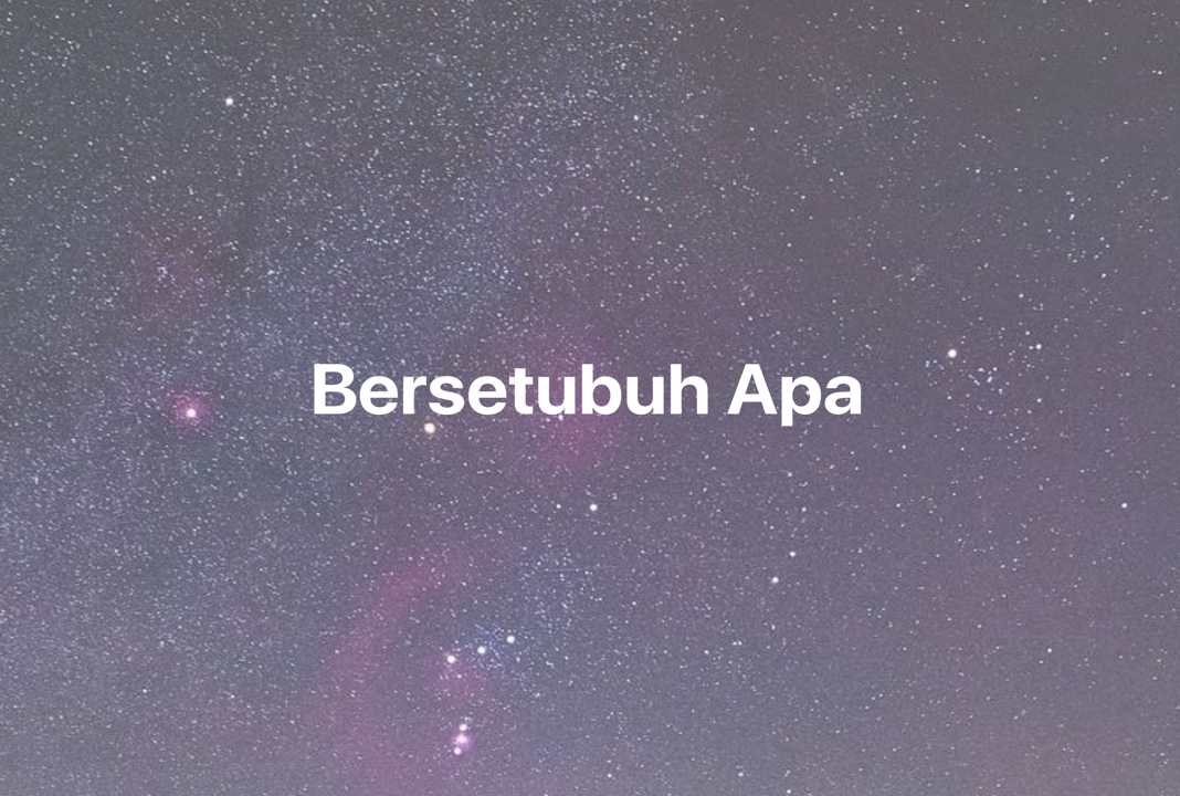 Gambar Mimpi Bersetubuh Apa