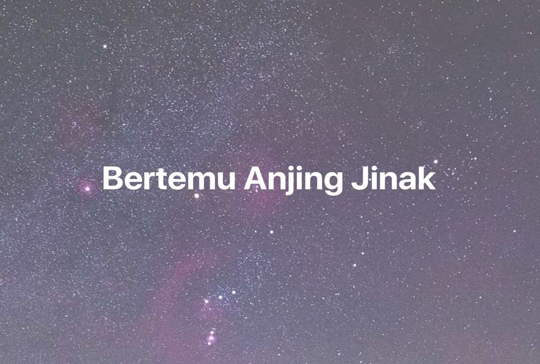 Gambar Mimpi Bertemu Anjing Jinak