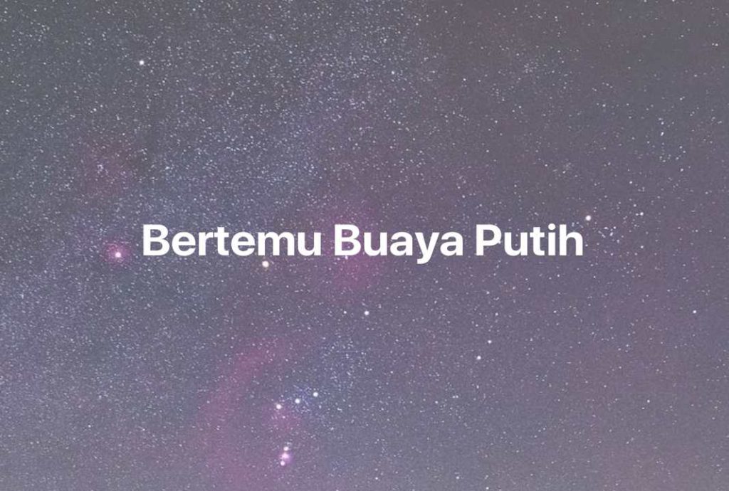 Gambar Mimpi Bertemu Buaya Putih