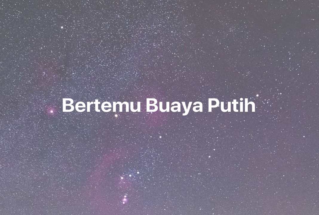 Gambar Mimpi Bertemu Buaya Putih