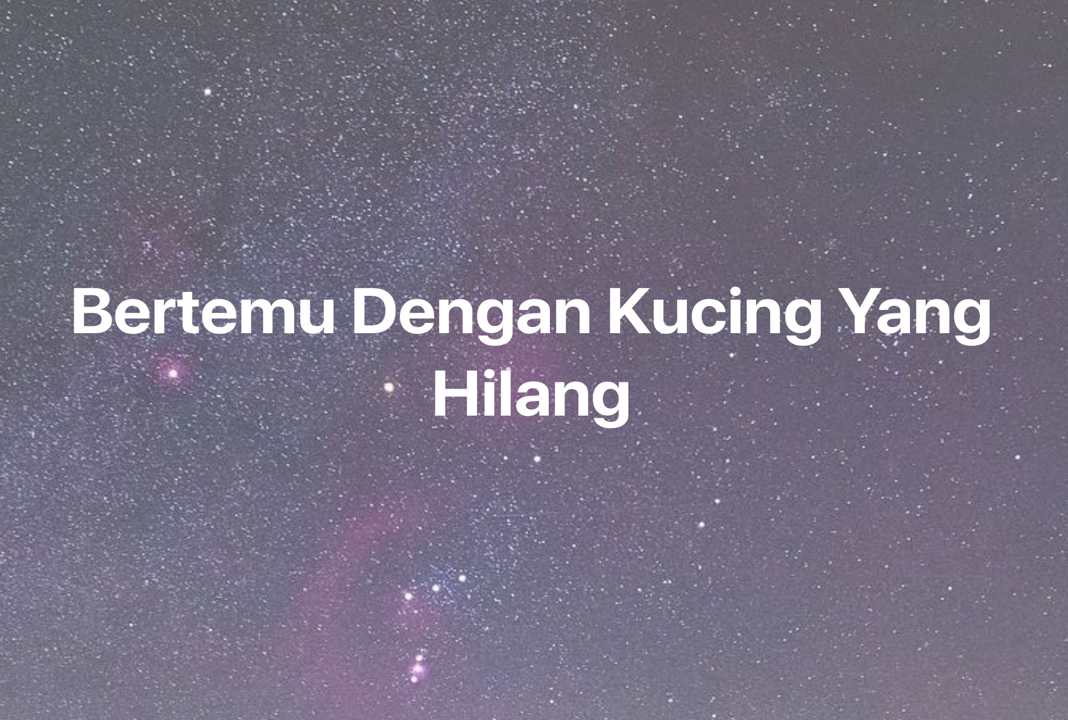 Gambar Mimpi Bertemu Dengan Kucing Yang Hilang