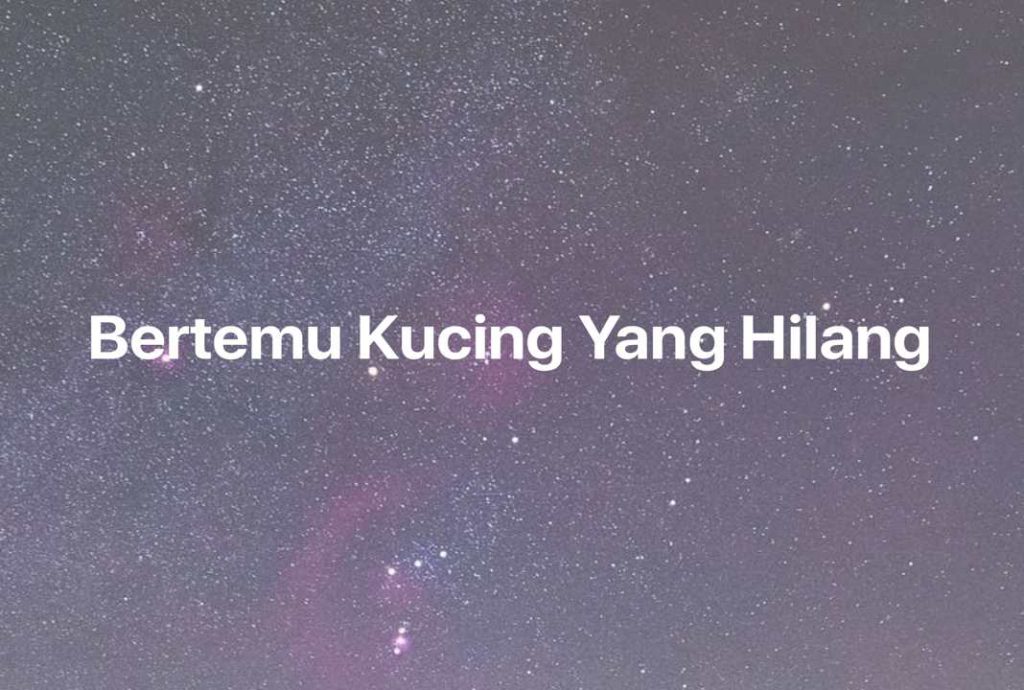 Gambar Mimpi Bertemu Kucing Yang Hilang