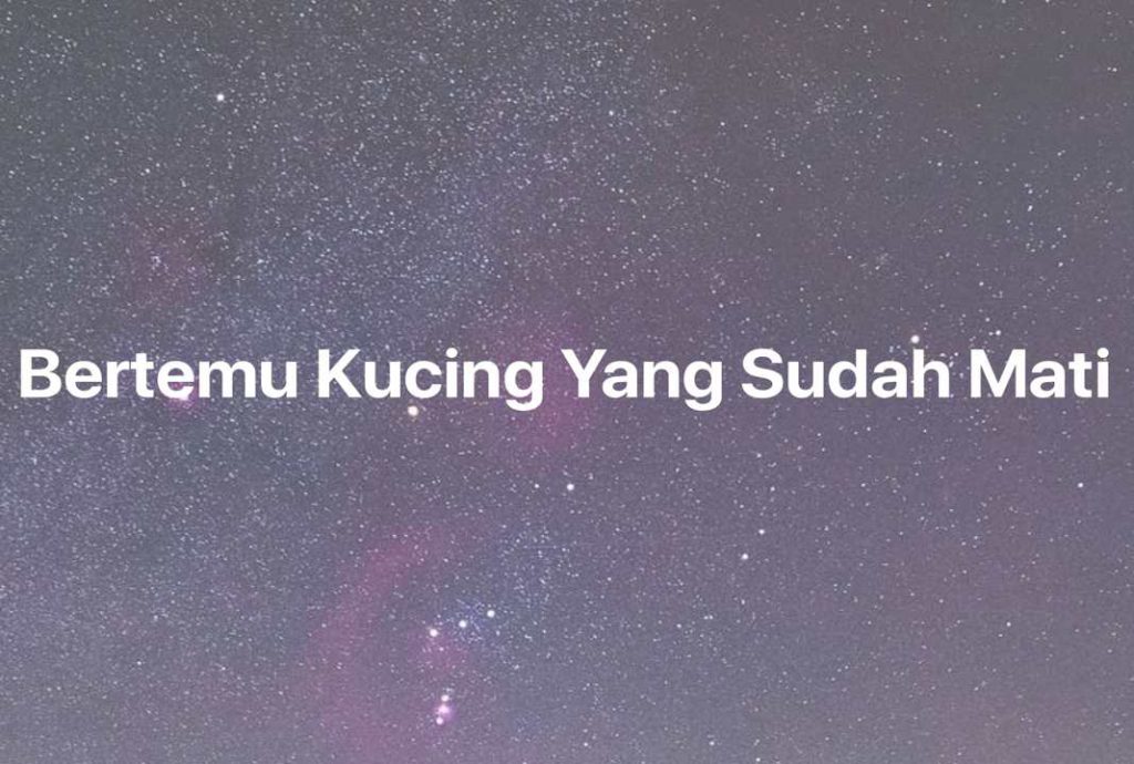 Gambar Mimpi Bertemu Kucing Yang Sudah Mati