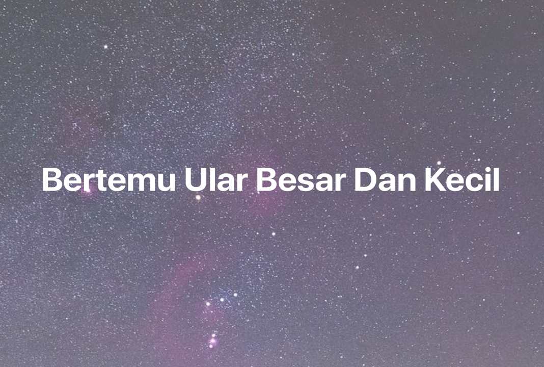 Gambar Mimpi Bertemu Ular Besar Dan Kecil