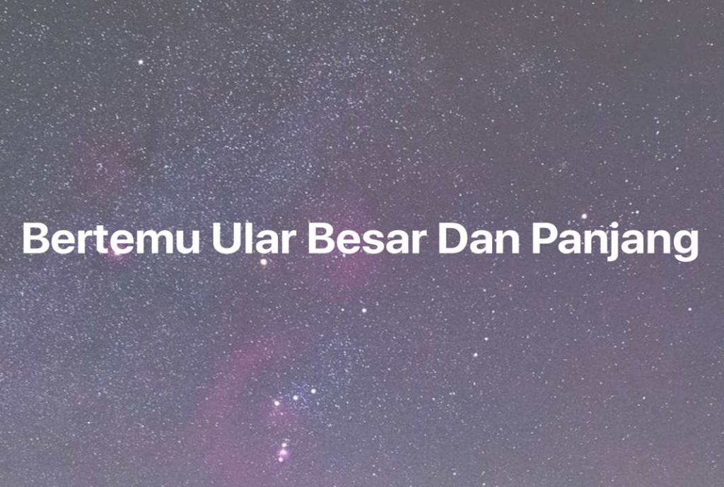 Gambar Mimpi Bertemu Ular Besar Dan Panjang