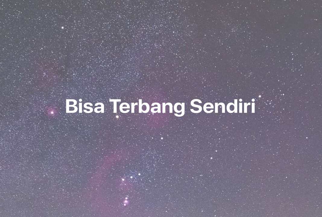 Gambar Mimpi Bisa Terbang Sendiri