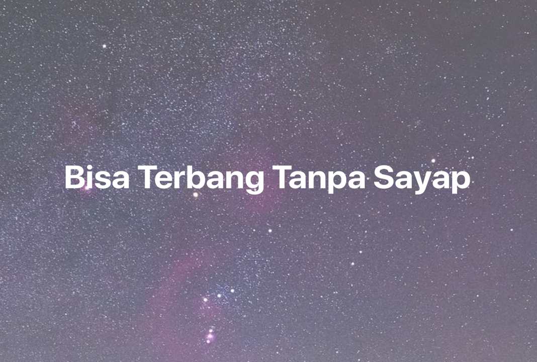 Gambar Mimpi Bisa Terbang Tanpa Sayap