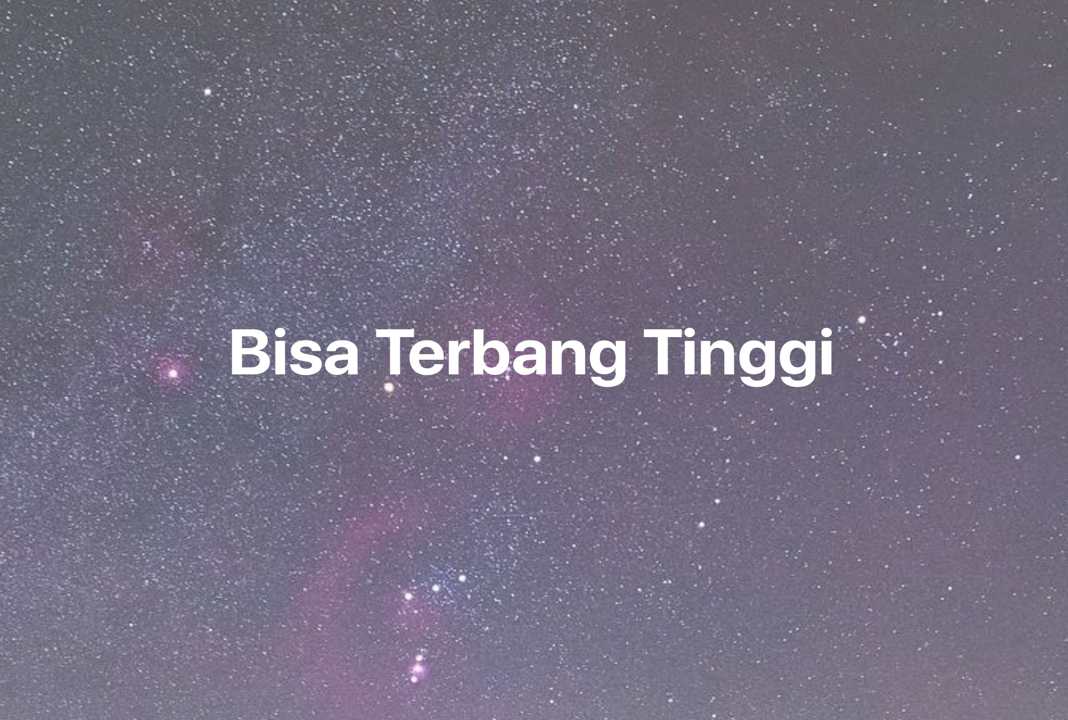 Gambar Mimpi Bisa Terbang Tinggi