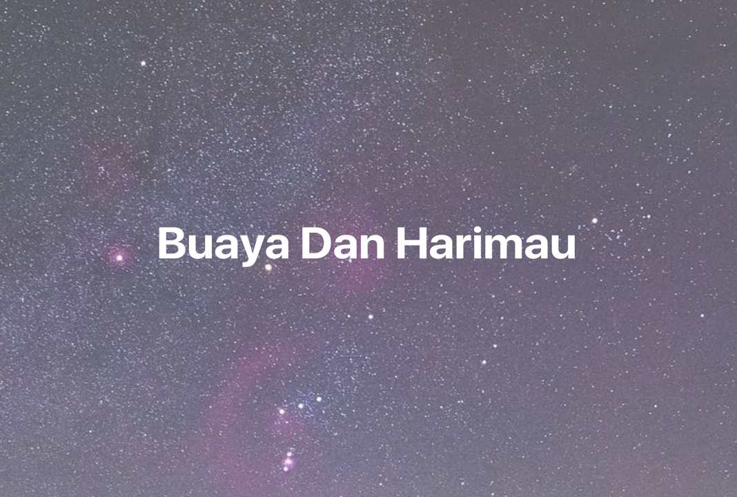 Gambar Mimpi Buaya Dan Harimau