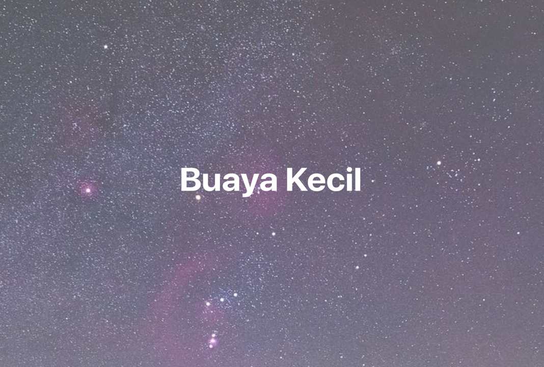 Gambar Mimpi Buaya Kecil