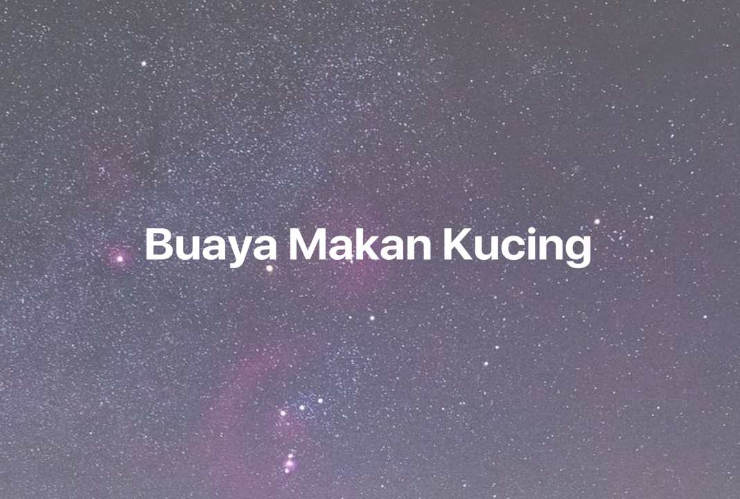 Gambar Mimpi Buaya Makan Kucing