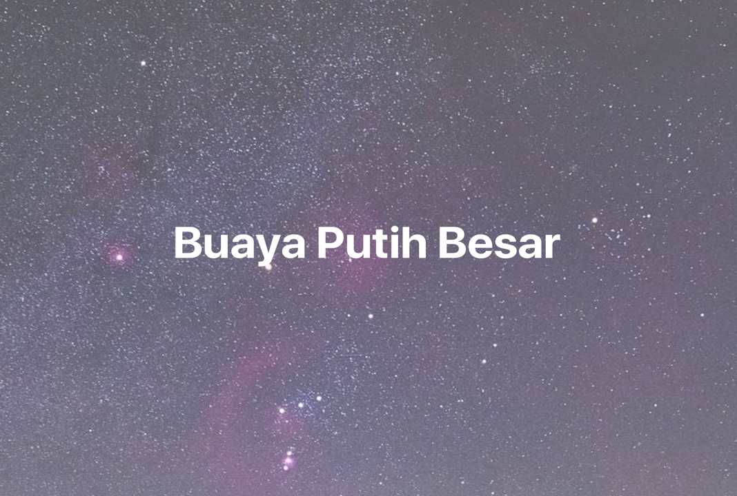 Gambar Mimpi Buaya Putih Besar