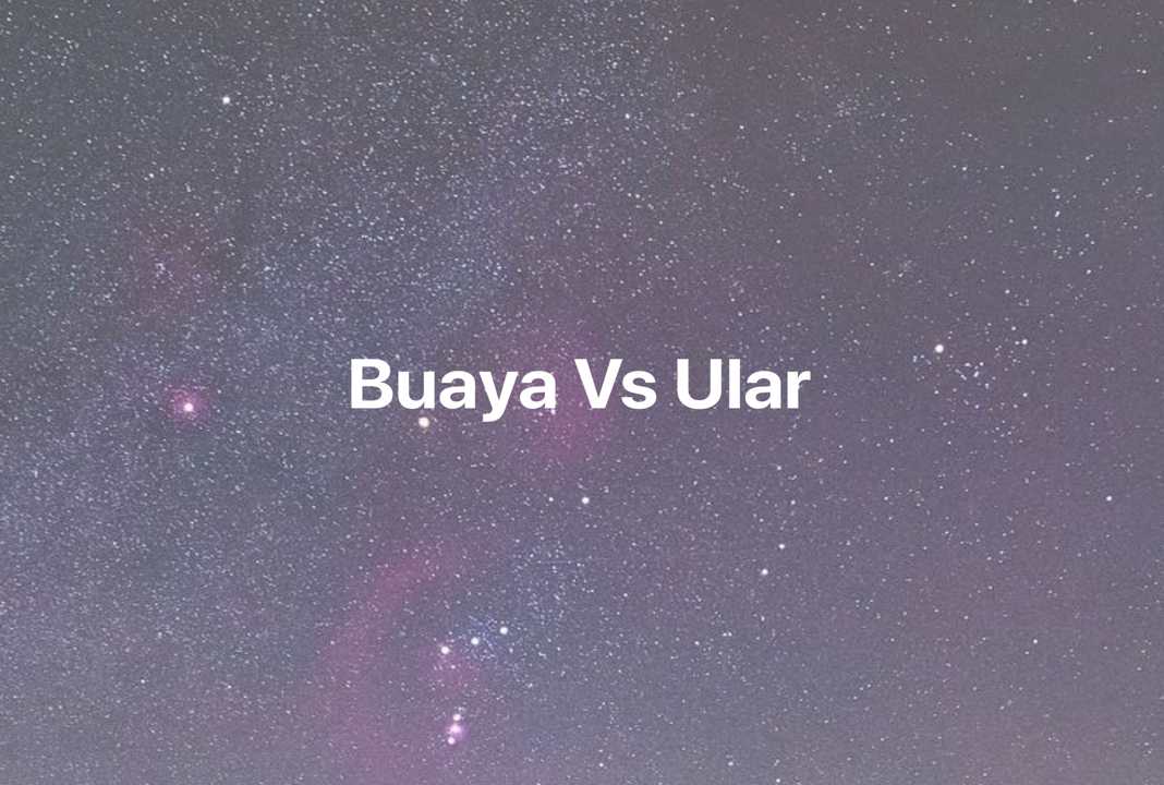 Gambar Mimpi Buaya Vs Ular