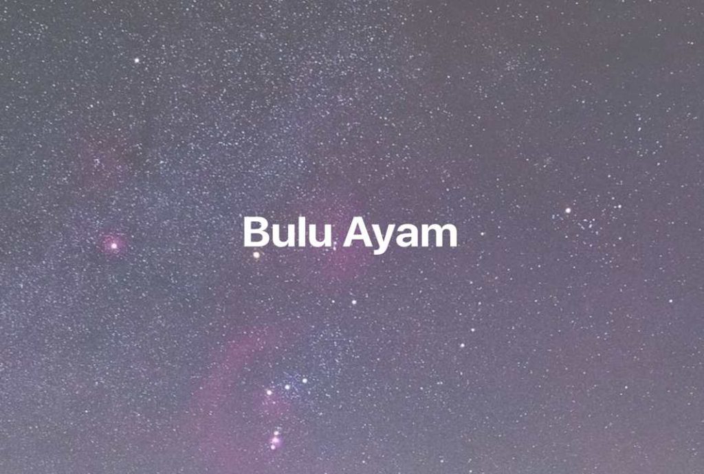 Gambar Mimpi Bulu Ayam