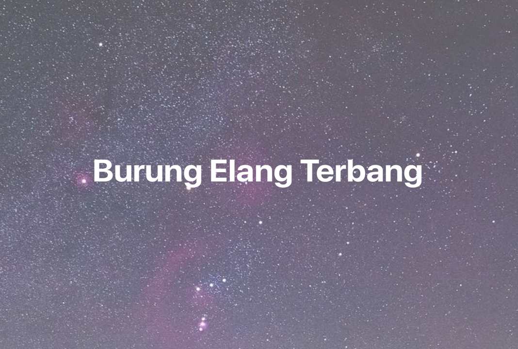 Gambar Mimpi Burung Elang Terbang