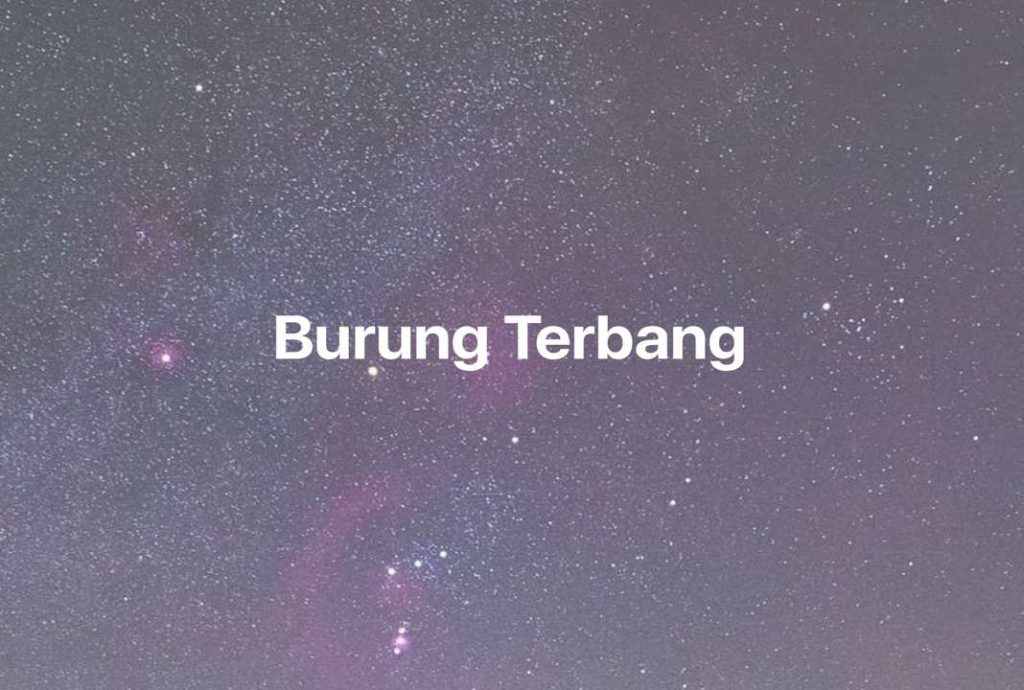 Gambar Mimpi Burung Terbang