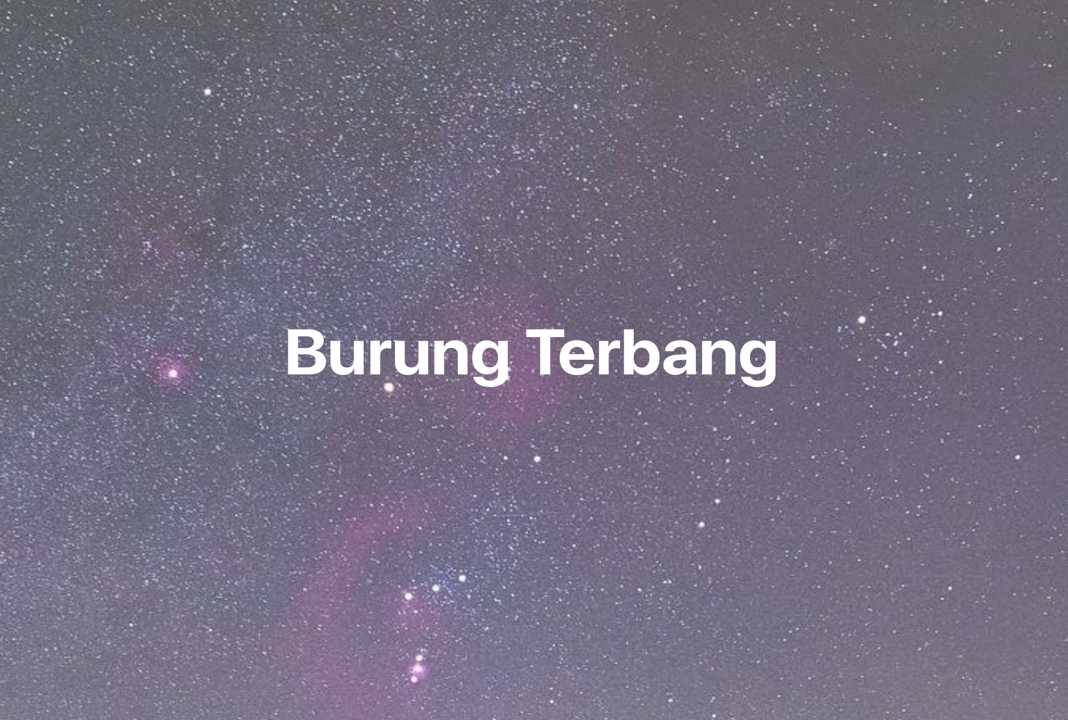 Gambar Mimpi Burung Terbang