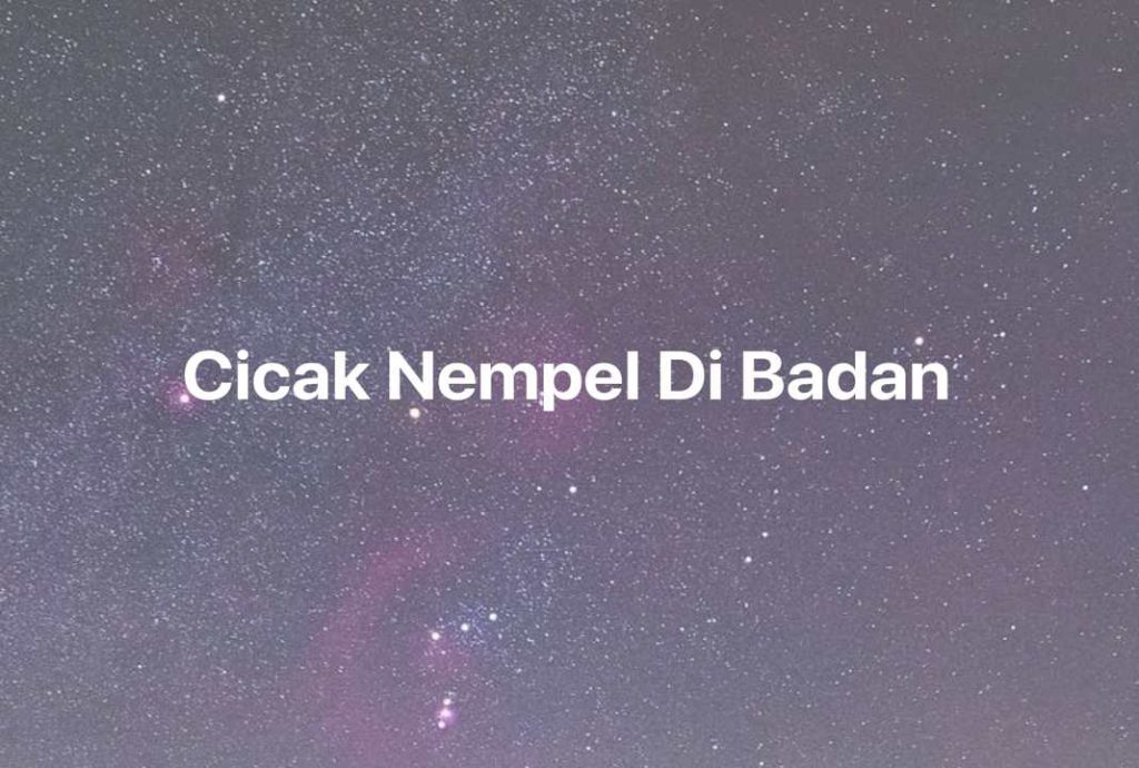 Gambar Mimpi Cicak Nempel Di Badan