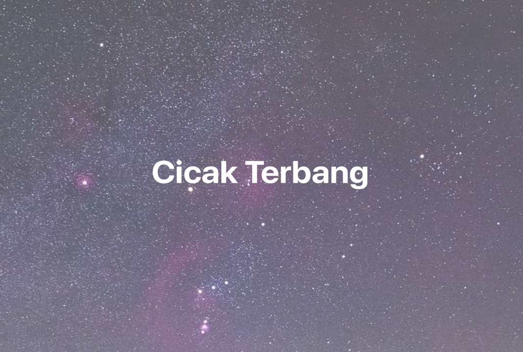 Gambar Mimpi Cicak Terbang