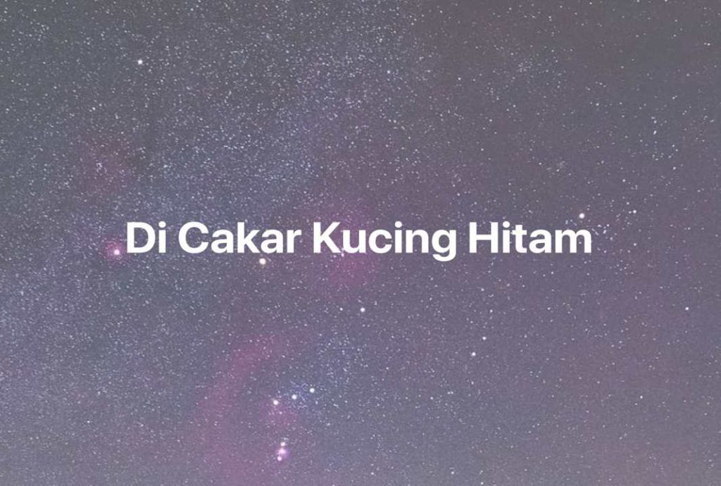 Gambar Mimpi Di Cakar Kucing Hitam