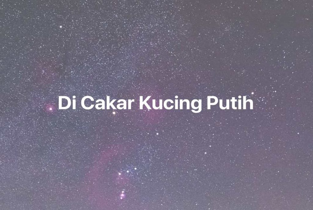 Gambar Mimpi Di Cakar Kucing Putih