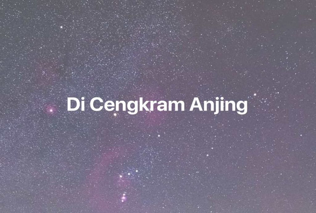 Gambar Mimpi Di Cengkram Anjing