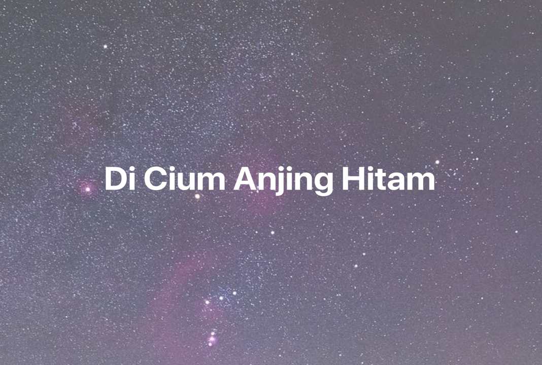 Gambar Mimpi Di Cium Anjing Hitam