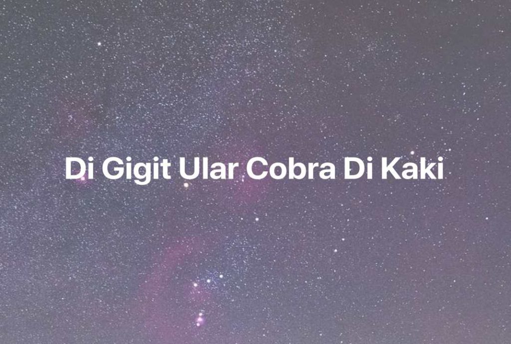 Gambar Mimpi Di Gigit Ular Cobra Di Kaki