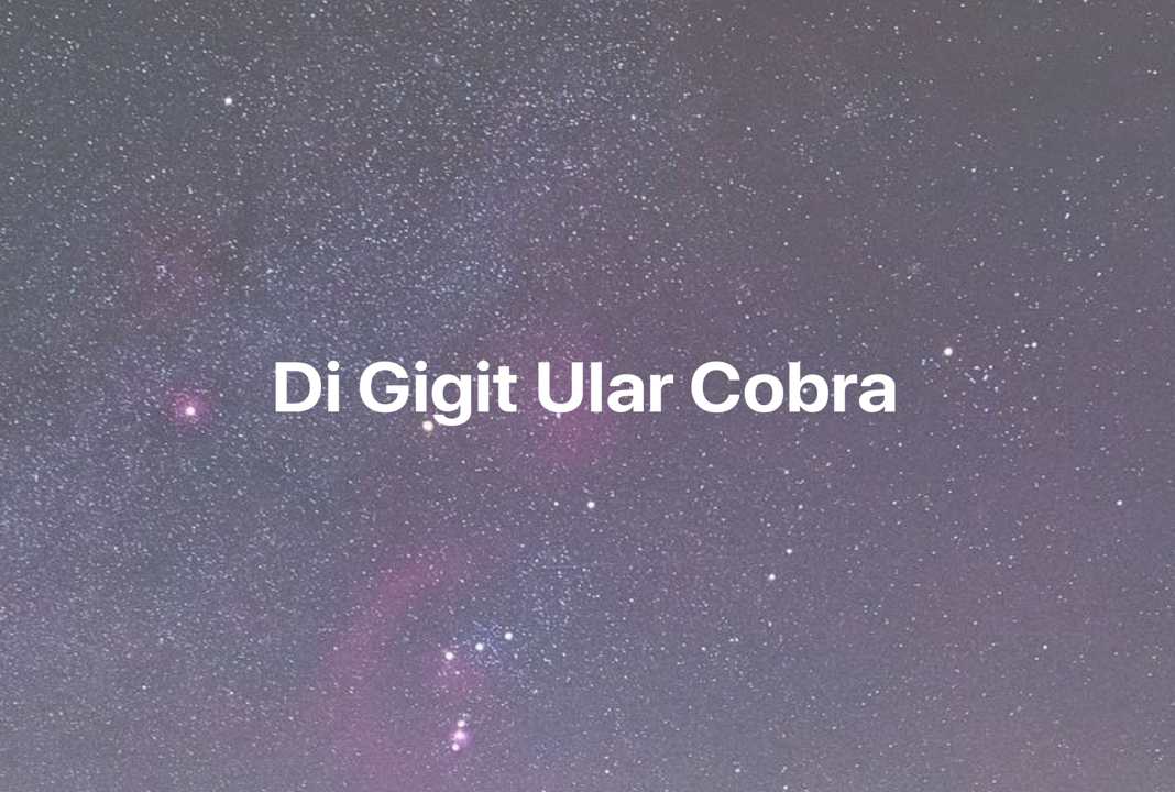 Gambar Mimpi Di Gigit Ular Cobra