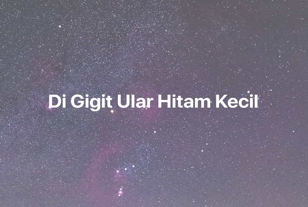 Gambar Mimpi Di Gigit Ular Hitam Kecil