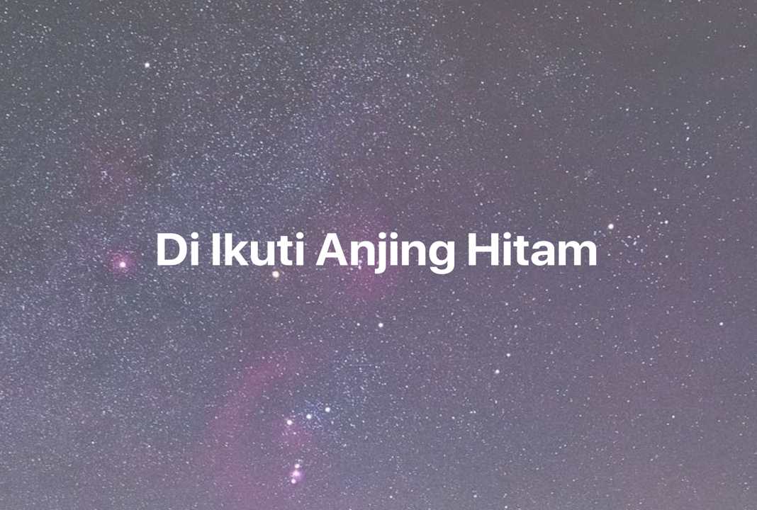 Gambar Mimpi Di Ikuti Anjing Hitam