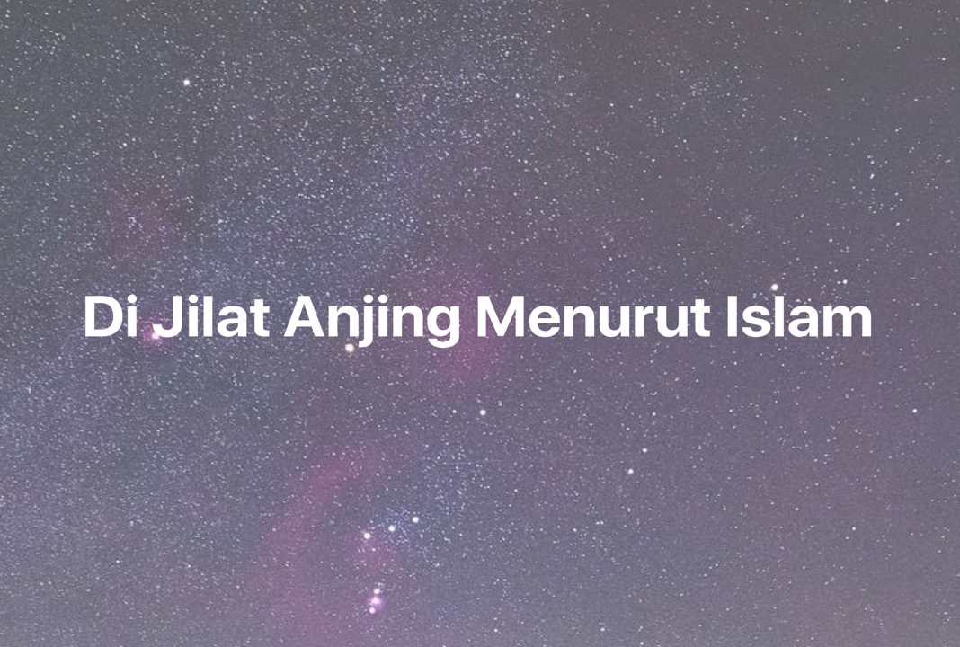 Gambar Mimpi Di Jilat Anjing Menurut Islam