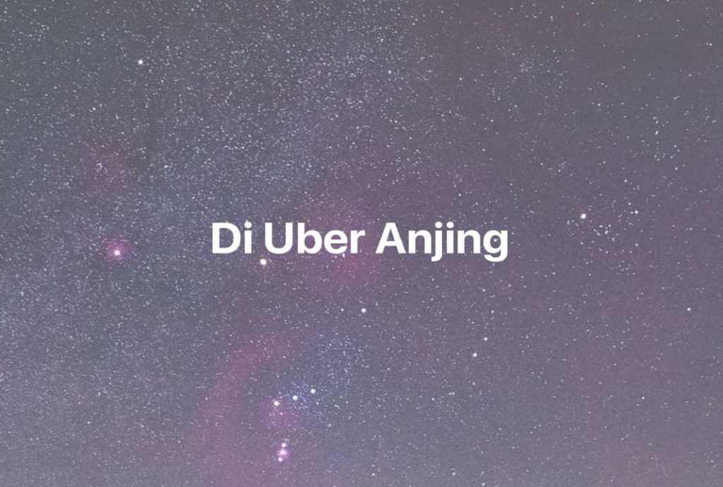 Gambar Mimpi Di Uber Anjing