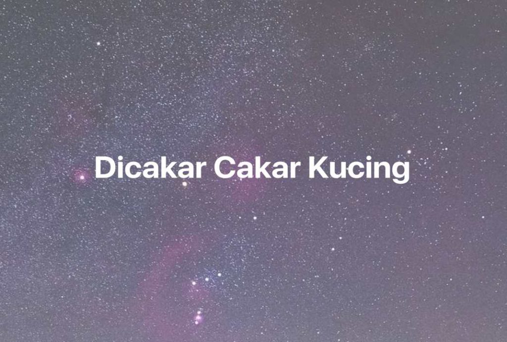 Gambar Mimpi Dicakar Cakar Kucing