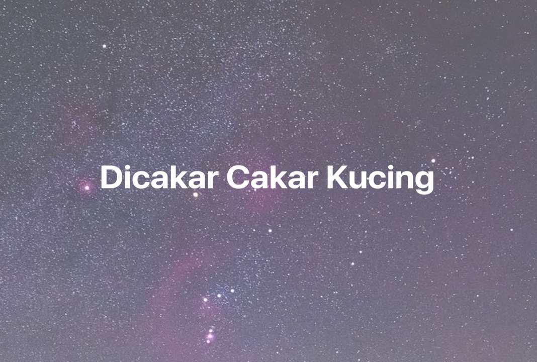 Gambar Mimpi Dicakar Cakar Kucing