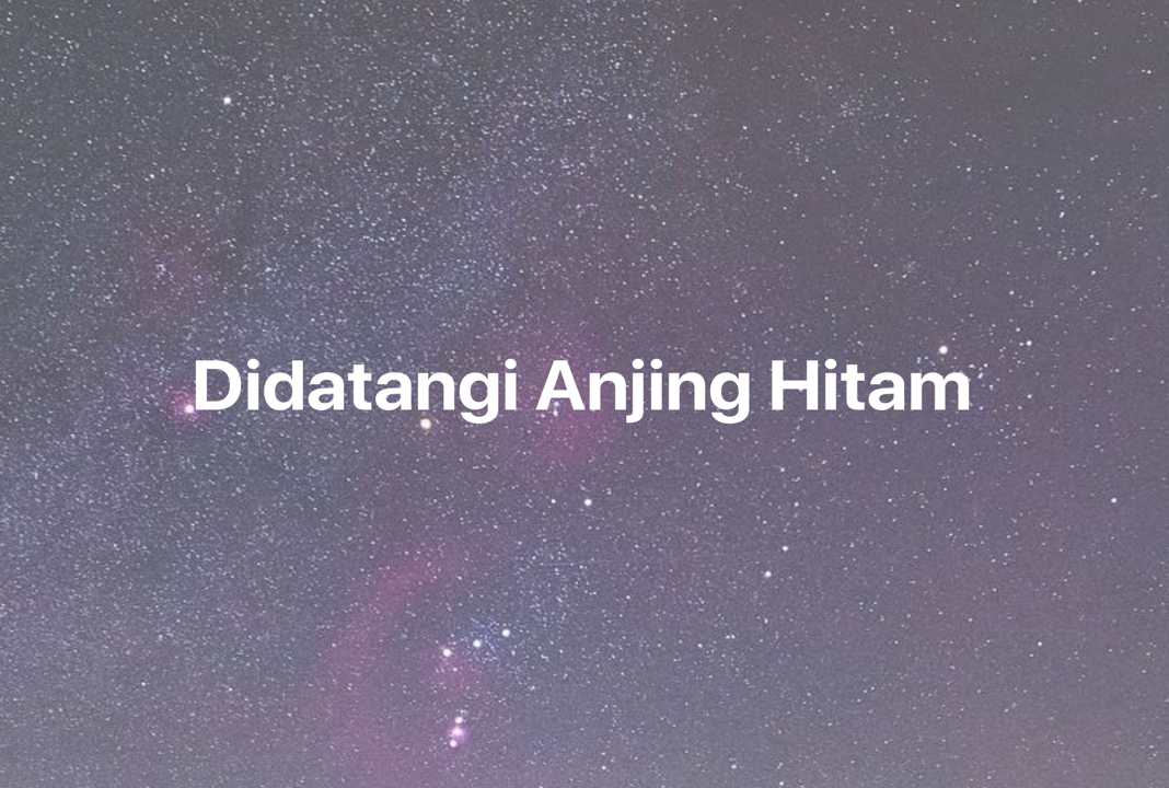 Gambar Mimpi Didatangi Anjing Hitam