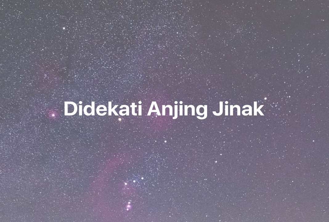 Gambar Mimpi Didekati Anjing Jinak