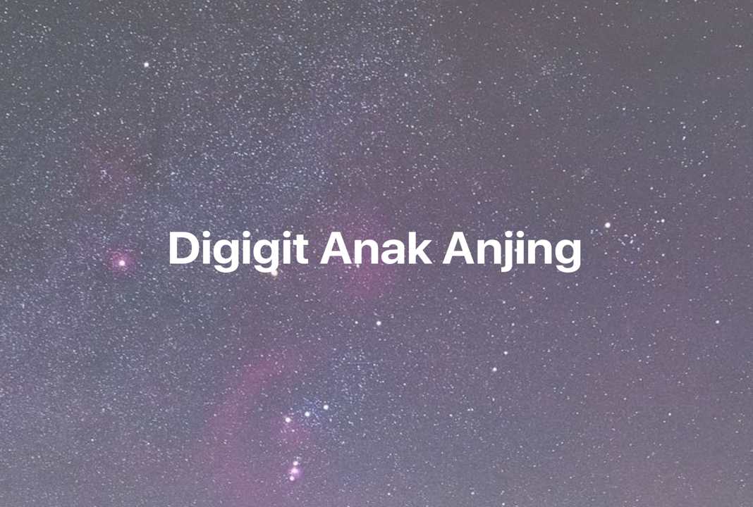 Gambar Mimpi Digigit Anak Anjing