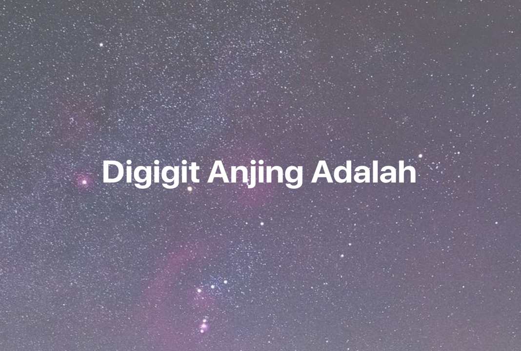 Gambar Mimpi Digigit Anjing Adalah