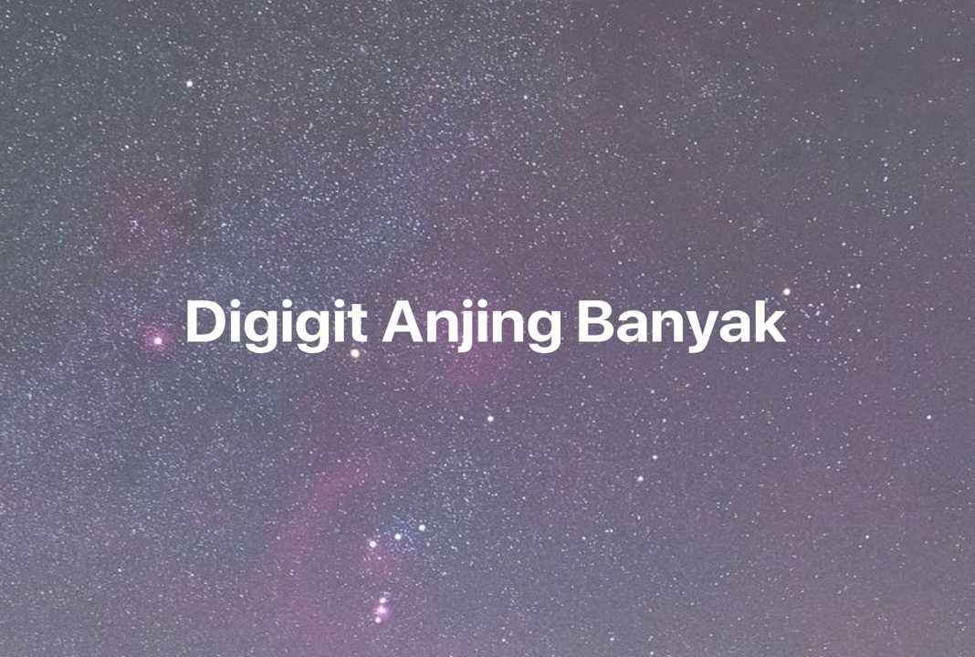 Gambar Mimpi Digigit Anjing Banyak