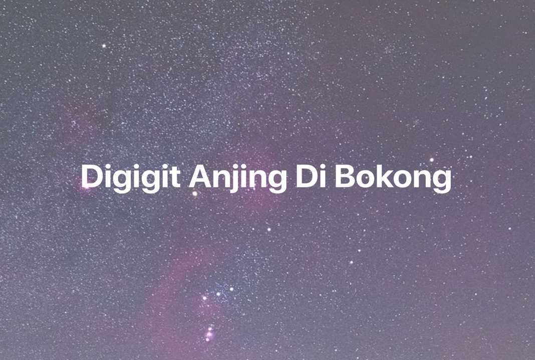 Gambar Mimpi Digigit Anjing Di Bokong