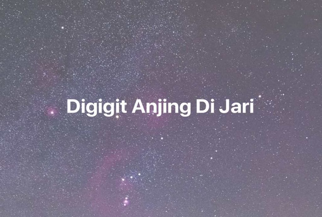 Gambar Mimpi Digigit Anjing Di Jari