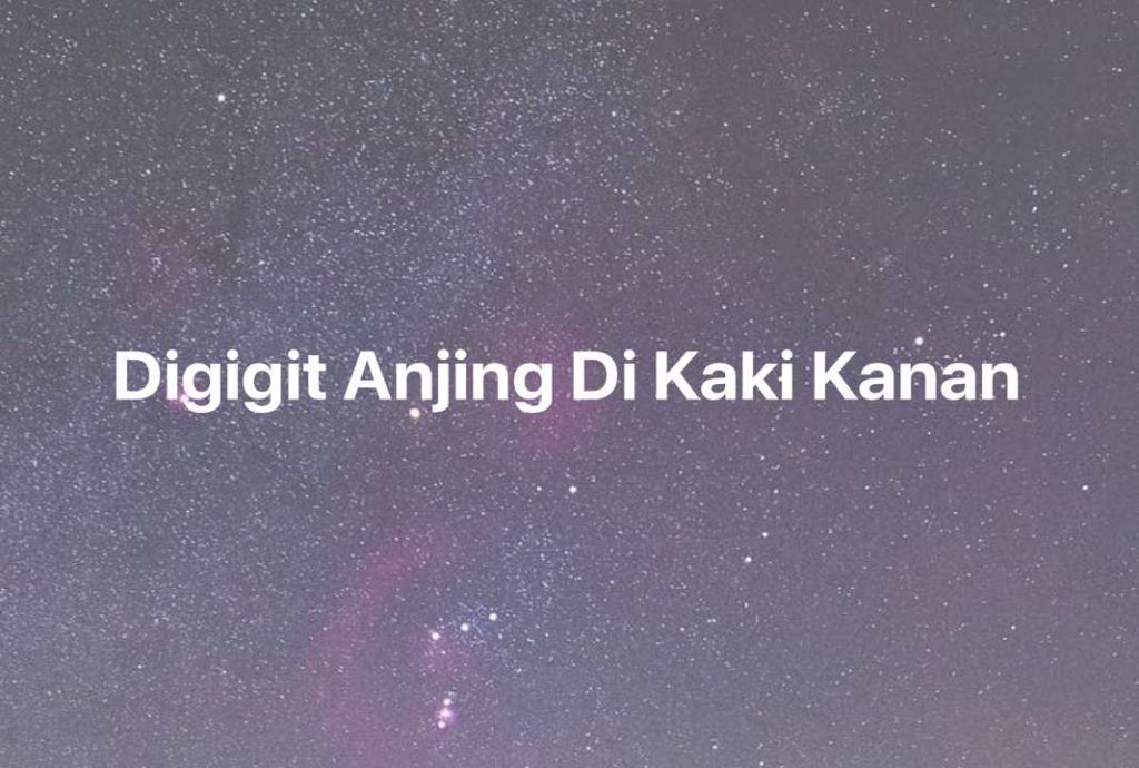 Gambar Mimpi Digigit Anjing Di Kaki Kanan