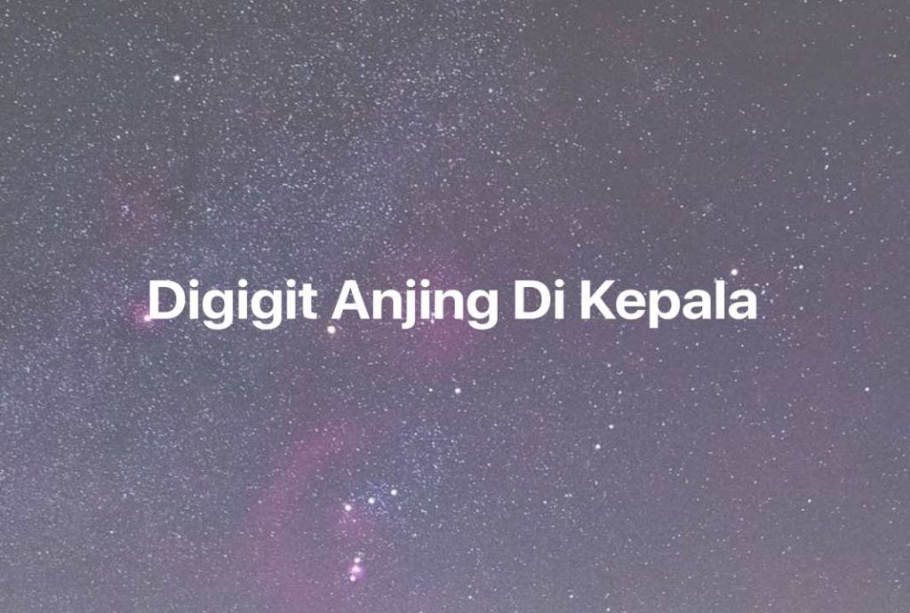 Gambar Mimpi Digigit Anjing Di Kepala