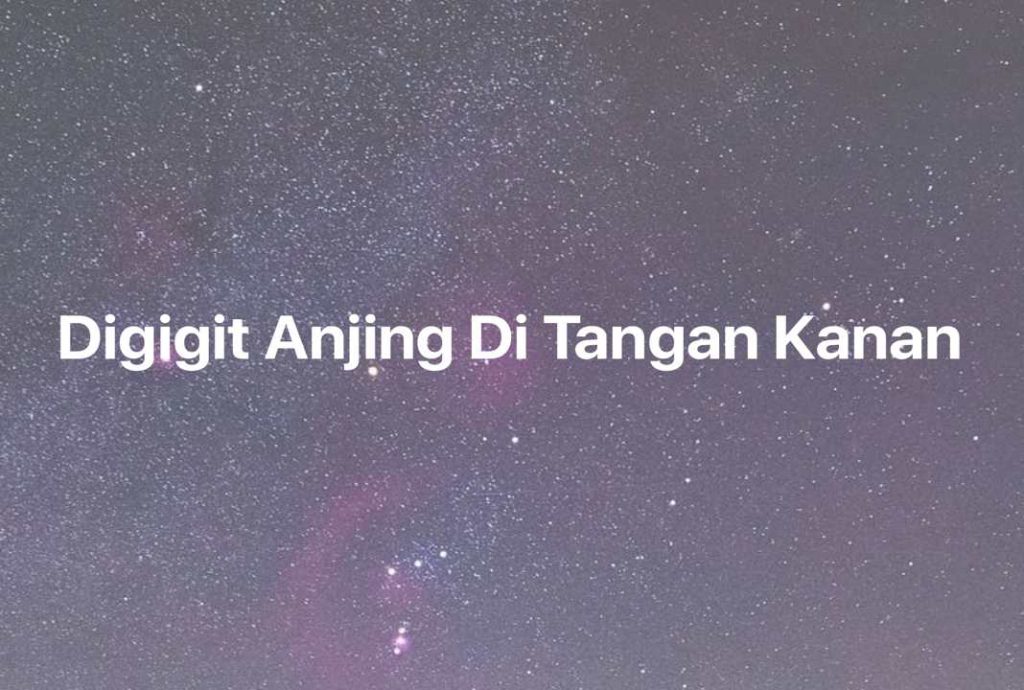 Gambar Mimpi Digigit Anjing Di Tangan Kanan